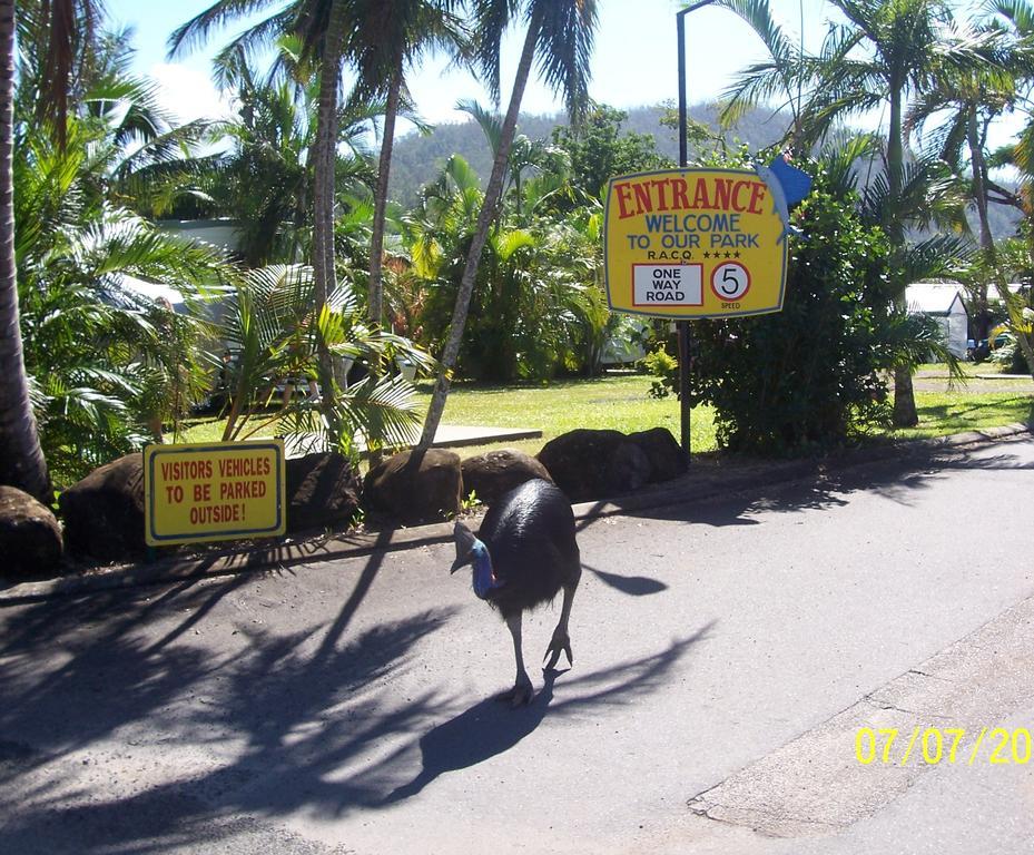 Hotel Flying Fish Point Tourist Park Innisfail Exteriér fotografie