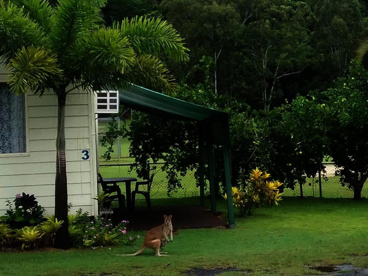 Hotel Flying Fish Point Tourist Park Innisfail Exteriér fotografie